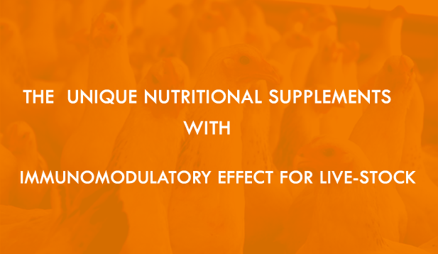 Interface Pharmaceuticals Pvt. Ltd.